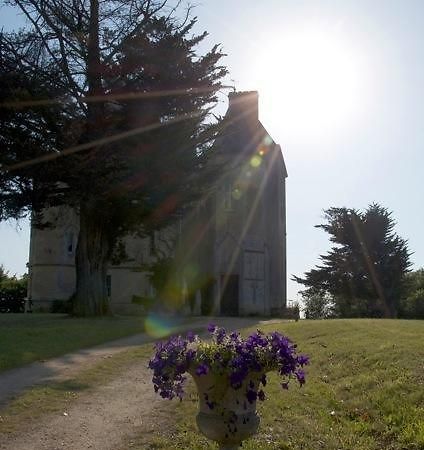 Chateau Fauchey Bed and Breakfast Cadillac Esterno foto