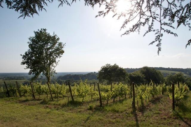 Chateau Fauchey Bed and Breakfast Cadillac Esterno foto