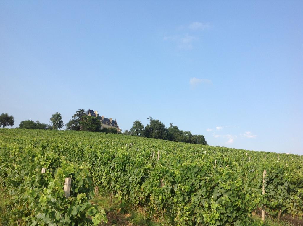 Chateau Fauchey Bed and Breakfast Cadillac Esterno foto