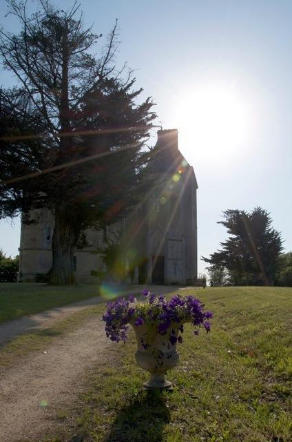 Chateau Fauchey Bed and Breakfast Cadillac Esterno foto